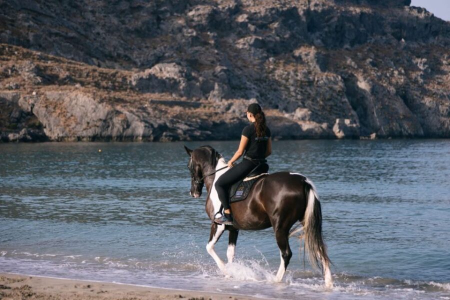 Crete Horse Riding: Plakias Beach Ride - Riding levels: “all” sounds simple, but your comfort matters