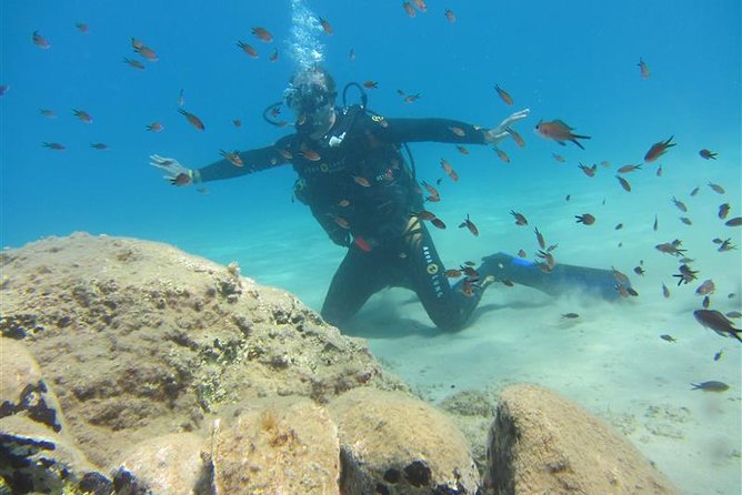 Crete Introductory Scuba Diving Experience - Key points to know before booking