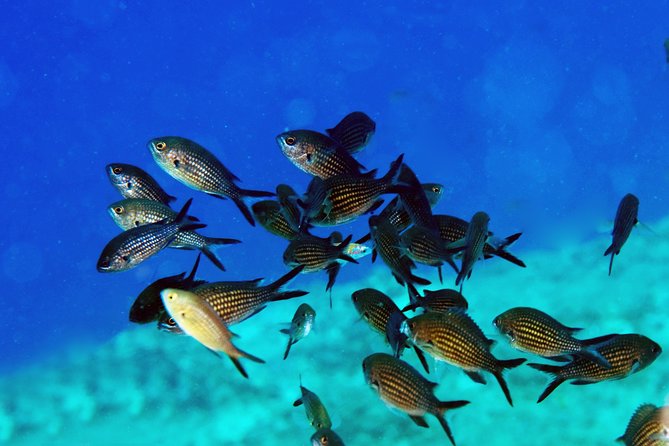 Crete Introductory Scuba Diving Experience - The 9:00 am start and where the day begins