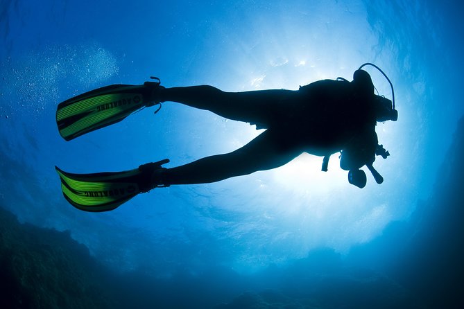 Crete Introductory Scuba Diving Experience - The open-water session at 3 to 6 meters
