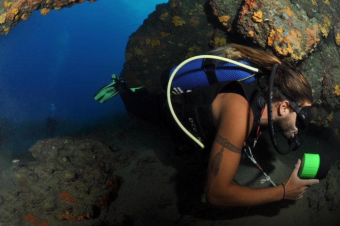 Crete Introductory Scuba Diving Experience - Timing, group size, and planning the rest of your day