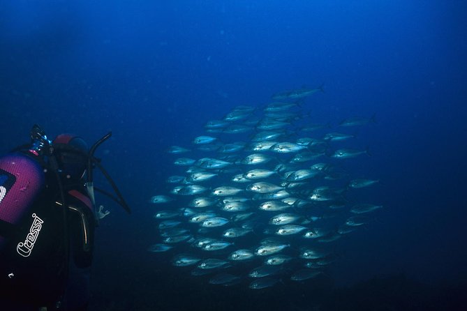 Crete Introductory Scuba Diving Experience - Theory class: the practical information you need