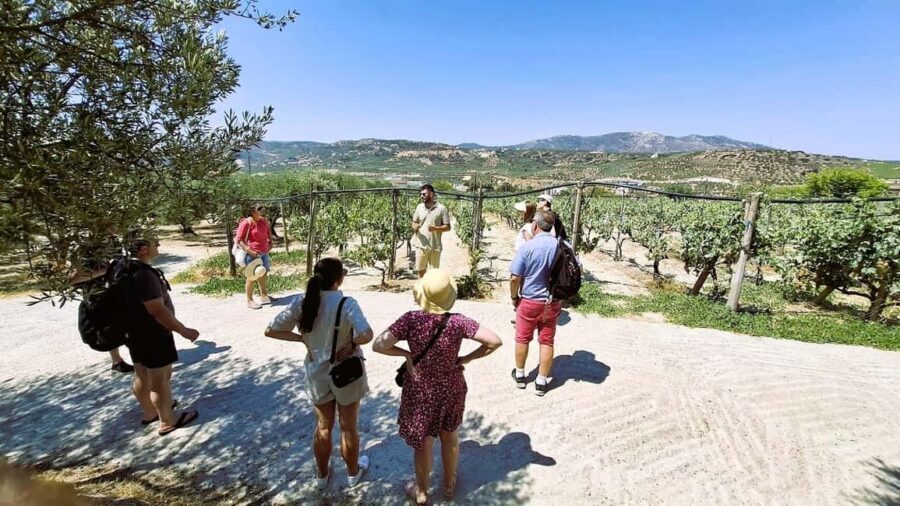 Crete: Knossos Palace, Winery & Olive Oil Tour with Lunch - Key reasons this tour works