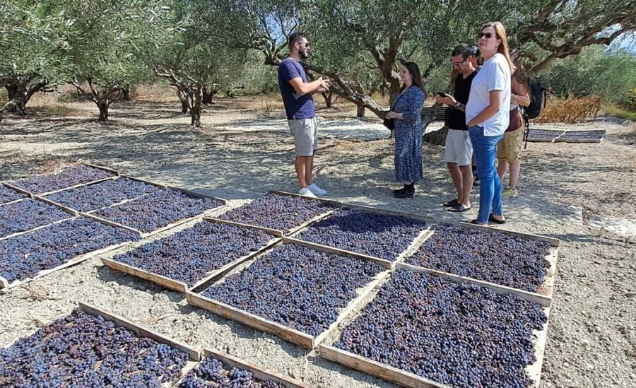 Crete: Knossos Palace, Winery & Olive Oil Tour with Lunch - Winery stop: tasting Vilana and Kotsifali with views you can taste
