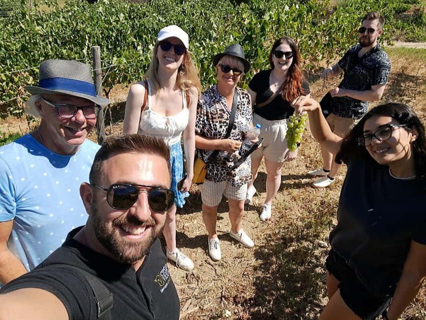 Crete: Knossos Palace, Winery & Olive Oil Tour with Lunch - Olive oil tasting and production: learning what extra virgin means in real flavor