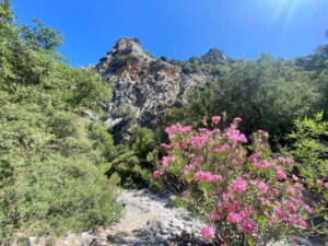 Crete: Kritsa Canyon Guided Hiking Tour - Pickup across Crete: the start-to-finish transport setup