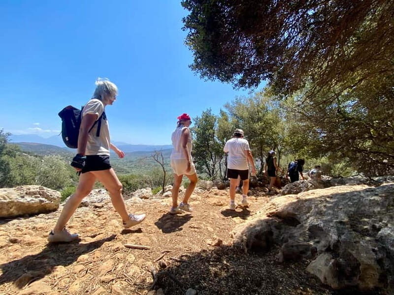 Crete: Kritsa Canyon Guided Hiking Tour - Kritsa Canyon hike: moderate effort, real gorge character