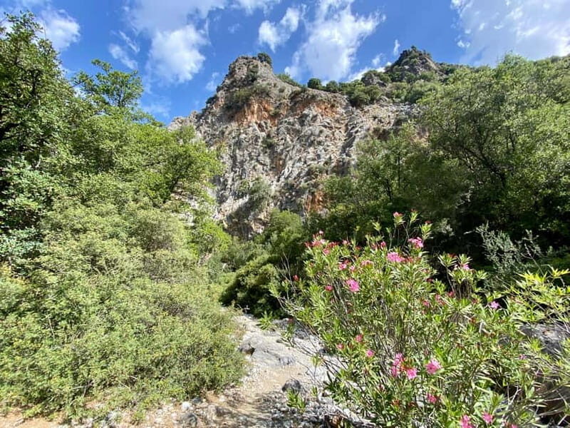 Crete: Kritsa Canyon Guided Hiking Tour - Price and value: what $93 buys you in Crete