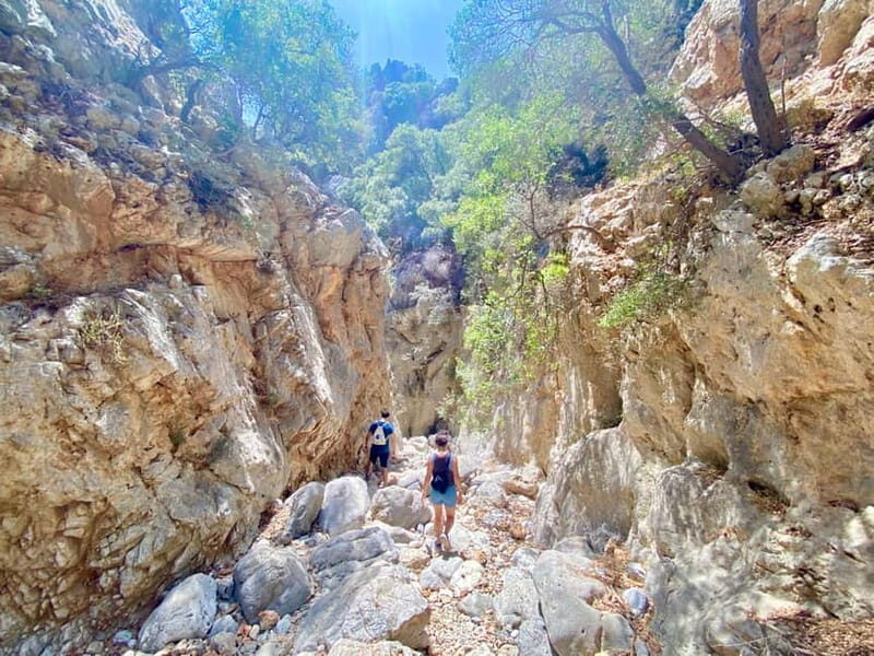 Crete: Kritsa Canyon Guided Hiking Tour - What to bring: the stuff that really matters on gorge trails