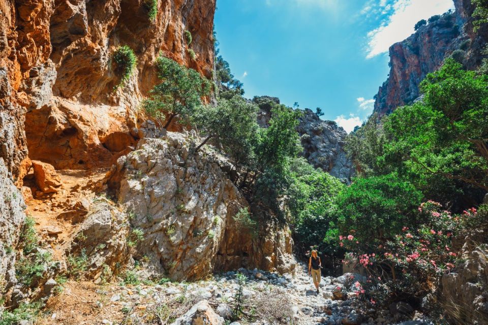 Crete: Kritsa Gorge Hike with Picnic & Swim Stop - Walking into Kritsa Gorge