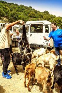 Crete: Land Rover Safari on Minoan Route - 8 hours and hotel pickup: managing timing without stress