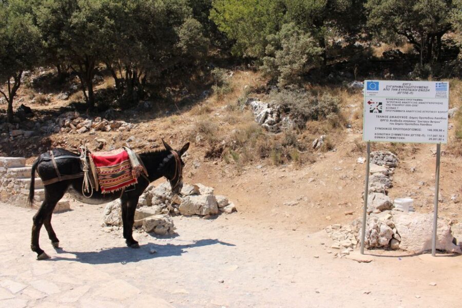 Crete: Land Rover Safari Through the Plateaus - Kastamonitsa Morning: Breakfast and Afentis Foothills