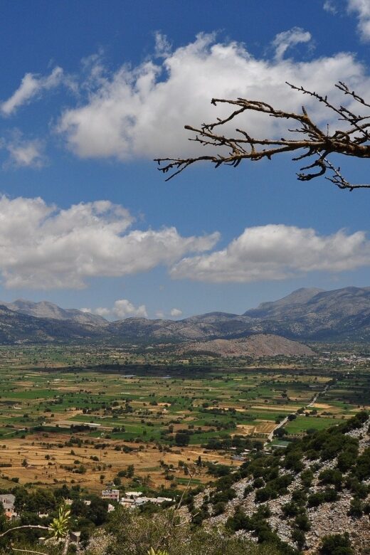 Crete: Lasithi Plateau and Knossos Palace Day Tour - Knossos Palace: throne room, frescoes, and Minoan columns