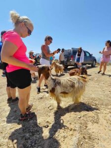 Crete: Lasithi Plateau Zeus Cave Guided Jeep Safari Tour - Pickup and timing: where you’ll start, and how the day is paced