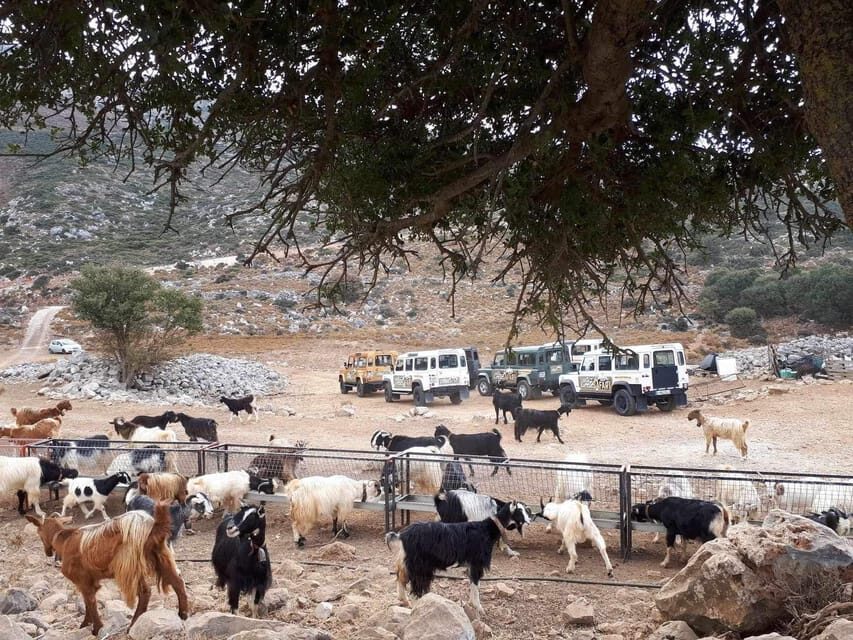 Crete: Lasithi Plateau Zeus Cave Guided Jeep Safari Tour - Avdou and Krasi: village life, snacks, and a slower pace