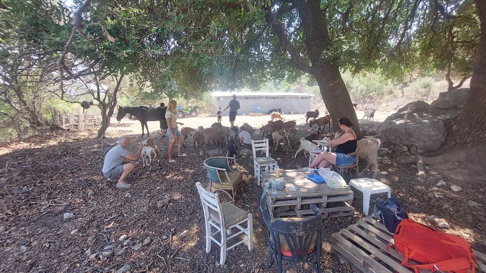 CRETE :MALIA HERSSONISOS QUADS ECOTOUR ADVENTURE - HIGH PERF - Is $100 good value?