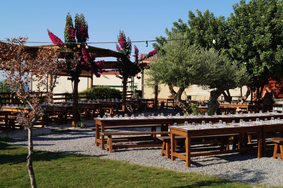 Crete: Olive Oil Factory Tour, Dinner & Traditional Dancing - Is $66 a fair price?
