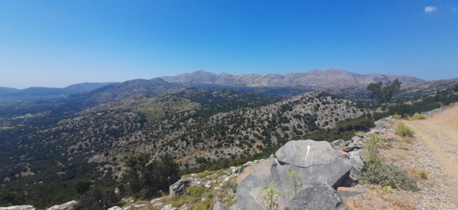 Crete: Olive, Wine, & Raki on a Flavorful Culinary Journey - Should you book it?