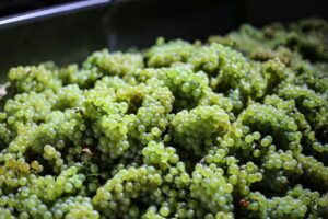 Crete: Olive, Wine, & Raki on a Flavorful Culinary Journey - Skalani: the olive grove farm and olive mill tour that makes the oil make sense