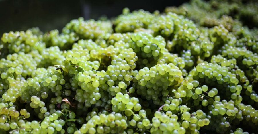 Crete: Olive, Wine, & Raki on a Flavorful Culinary Journey - Price and value: why $126 can make sense for this kind of day