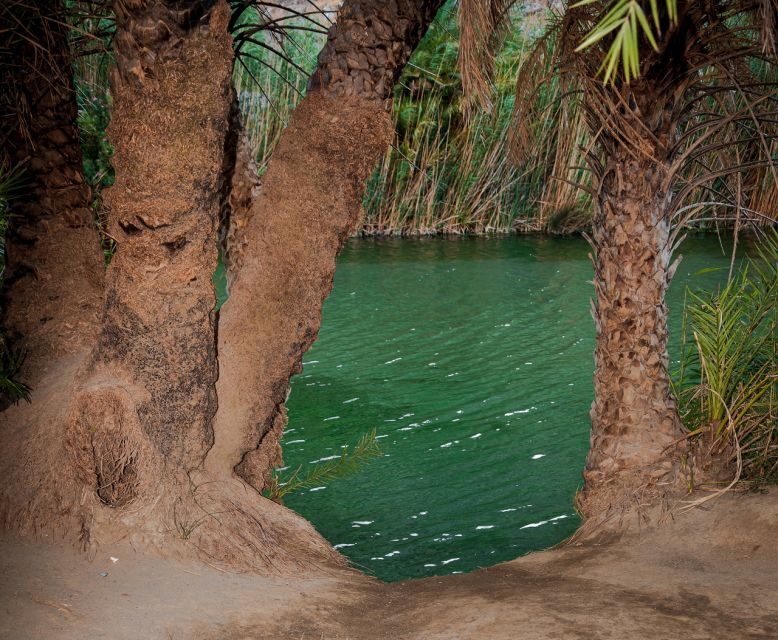Crete: Preveli Tropical Beach and Palm Forest - Skaleta Breaks and the Real Rhythm of a 9–10 Hour Day