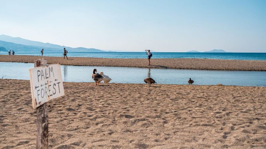 Crete: Preveli Tropical Beach and Palm Forest - Who This Tour Fits Best in Crete