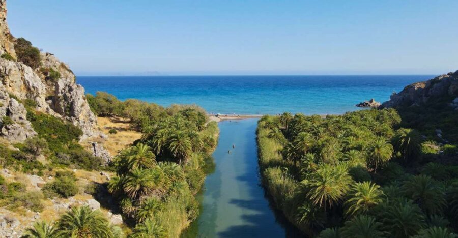Crete: Preveli Tropical Beach and Palm Forest - Palm Forest Walk: Theophrastus Palms and Tropical-Feeling Flowers
