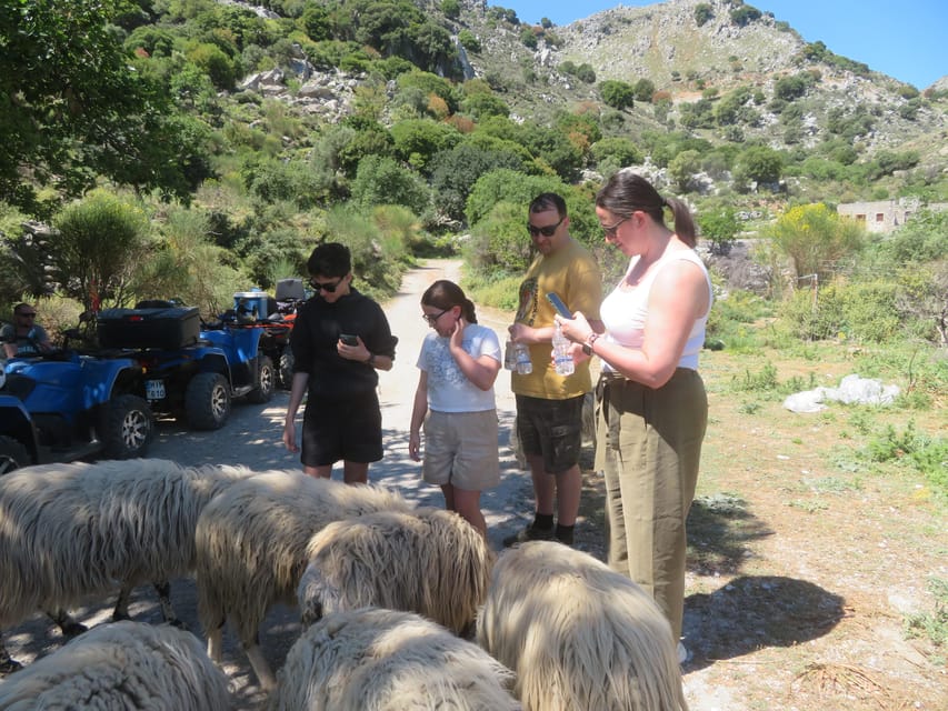 Crete Quad Safari Off-Road,Breathtaking Scenery&Amazing View - Off-road Crete through hills and olive groves