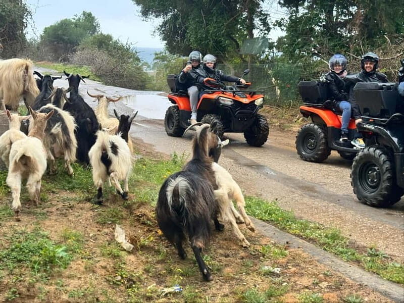 Crete: Quad Safari with Traditional Hidden Villages & Nature - The 4-Acre Driving Lesson: Why It Changes the Whole Trip