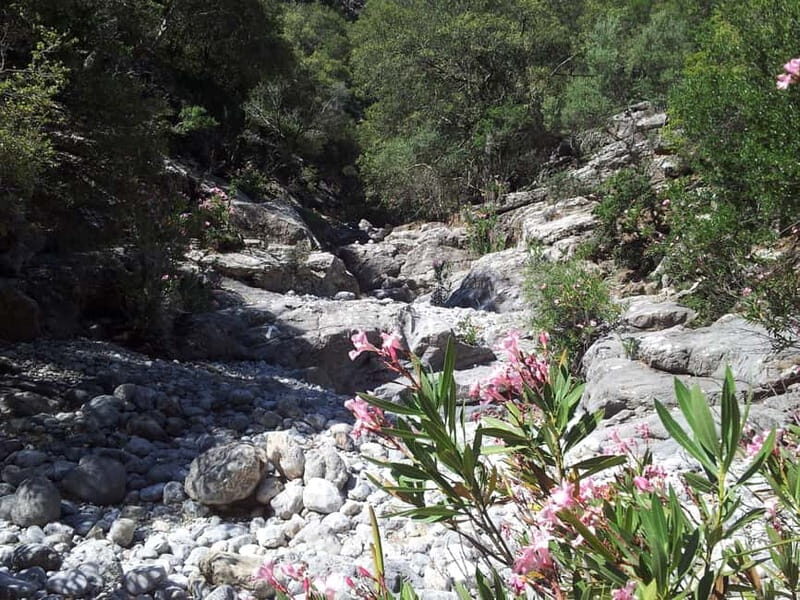 Crete: Richtis Waterfall Full-Day Tour with Olive Tasting - Lunch at a Local Tavern: Wine Included, Views Included