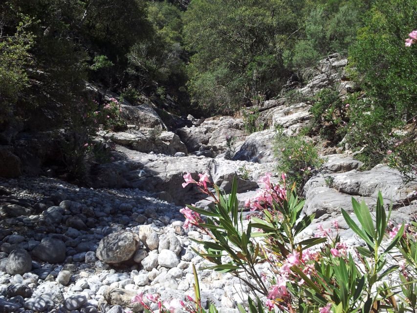 Crete: Richtis Waterfall Full-Day Tour with Olive Tasting - Price and Logistics: Is $115 Good Value for This Day