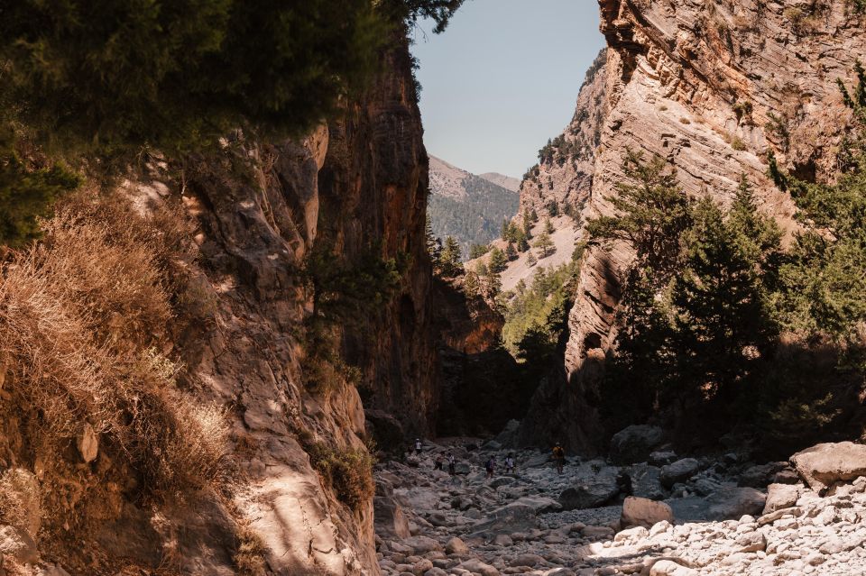 Crete: Samaria Gorge Hiking - Along the Taras River and through the forest