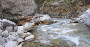 Crete: Samaria Gorge Hiking with transfer and expert Escort - Omalos Plateau Start: White Peaks, Long Shadows, and Sturdy Shoes