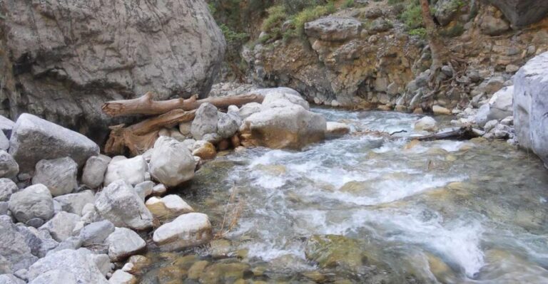 Crete: Samaria Gorge Hiking with transfer and expert Escort - Omalos Plateau Start: White Peaks, Long Shadows, and Sturdy Shoes