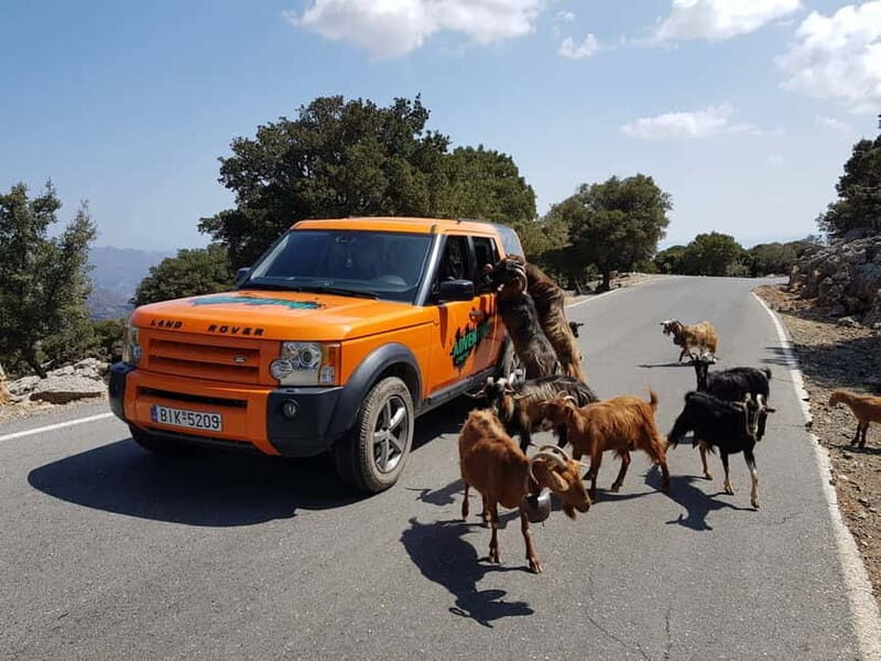 Crete: Sarakina Gorge, Forests, and South Coast Safari - Quick Take: What Makes This Safari Worth Your Time