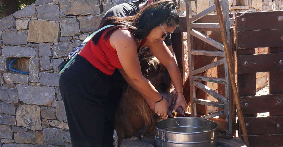 Crete: Shepherd’s Life & Psiloritis Mountain Tour with Meal - Anogia: coffee and a first look at mountain life