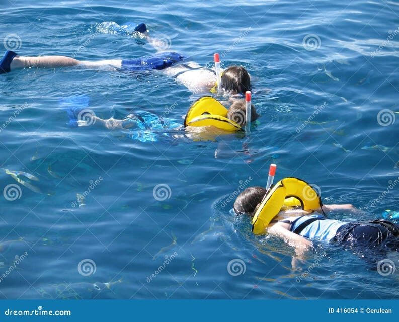 Crete: Snorkeling Boat Trip with Lunch and Transfer - Price and value: what $81 buys you