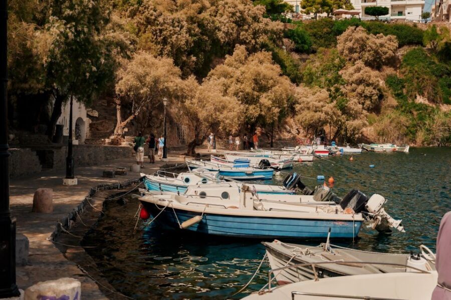 Crete: Spinalonga Boat Tour with BBQ & Agios Nikolaos - Olive oil tasting: a short 30 minutes with big expectations