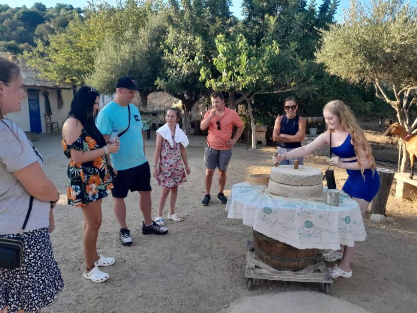 Crete: Sunset Safari - Dinner in Malia: local food plus wine and water