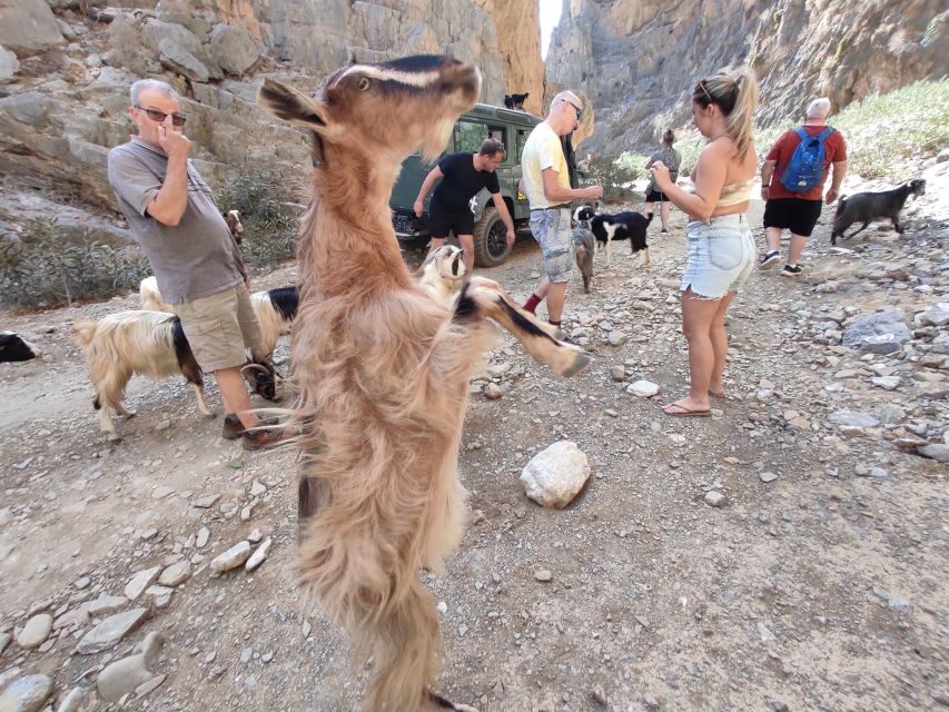 Crete: Trypiti Beach Off-Road South Tour w/ Lunch & Wine - St. Sava Canyon and the vertical-rock views