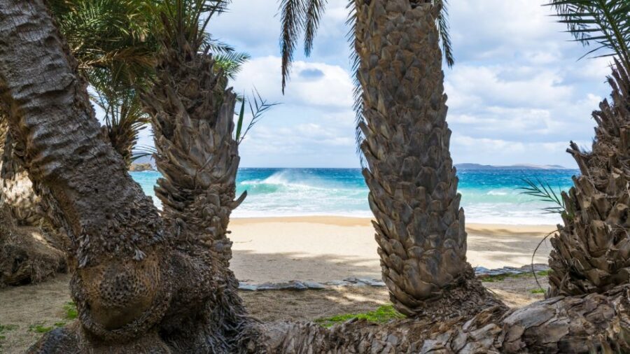 Crete: Vai Palm Forest, Itanos & Erimoupoli Beach, Road Trip - Key highlights worth your time