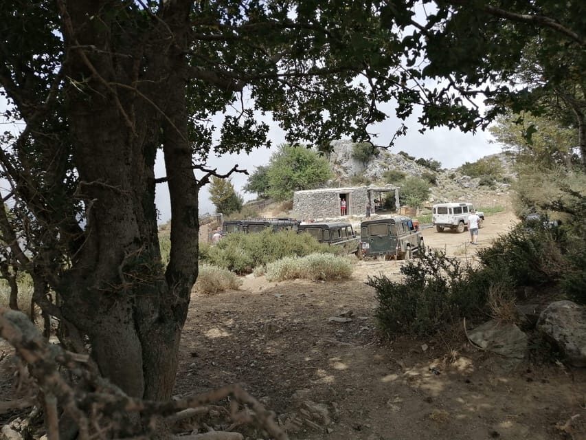 Crete: White Mountains Preserve Day Tour - Jeep Time: Wildlife Odds, Road Texture, and Seating Choices