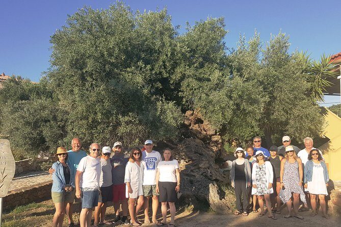 Crete Wine and Olive Oil Tour - Guides and pacing: why the day feels easy, not rushed