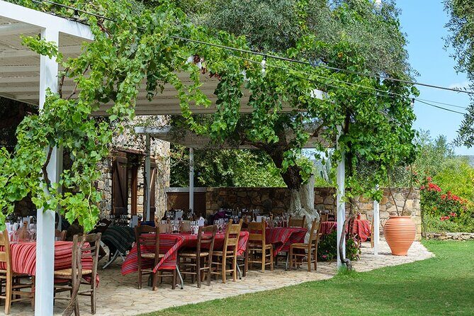 Crete Wine and Olive Oil Tour - Price and value: what $145 buys you in Chania