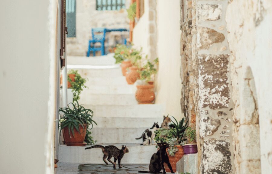 Cruise to Nisyros: Volcano, Nikia Village & Mandraki Trip - What to bring for comfort (and for the parts you’ll actually walk)
