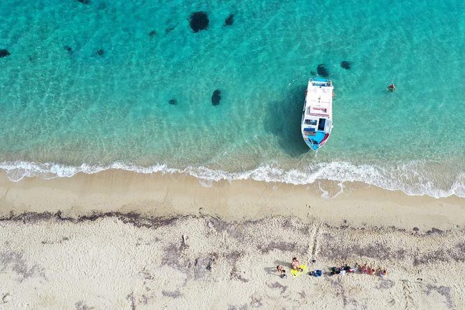 Cruise to turtle's island and caves with a glass bottom boat - Stop 1: Laganas Beach turtle spotting and the Caretta caretta talk
