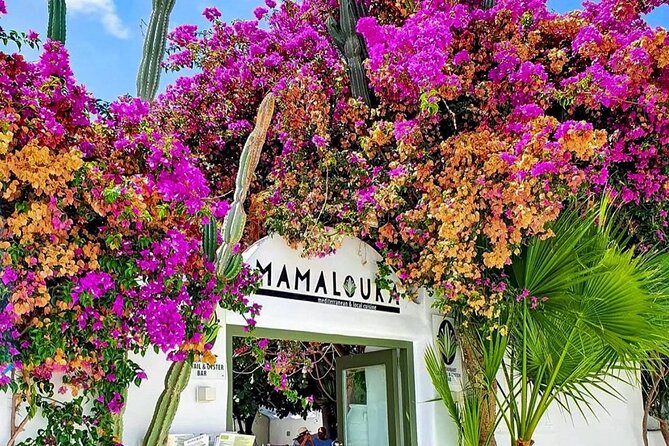 Cultural Odyssey Dance Feast in Mykonos Town - A Greek Evening Begins at Mamalouka