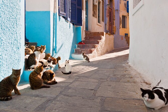 Day Trip to Nisyros Island - Returning to Kardamena at 4:30pm