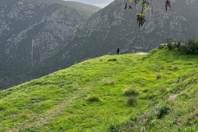 Delphi and Osios Loukas Byzantine Monastery - Chaeronea and the Lion that marks a lost battle