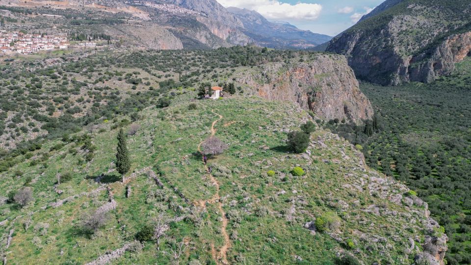Delphi: Easy Hike on Ancient Path through the Olive Groves - Chriso and the living side of Delphi